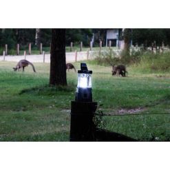 Camping Lanterns Coleman Easy Hang Lithium-Ion Lantern -Tableware Sales Store BCF 384147 03 hi res