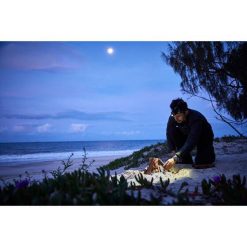 Headlamps Wanderer Moonbeam 580R Focus Headlamp -Tableware Sales Store BCF 563664 10 hi res