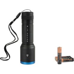 Torches Wanderer Moonbeam Torch